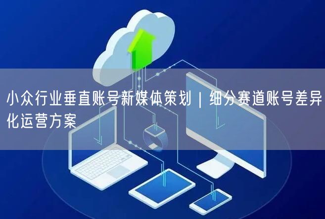 小众行业垂直账号新媒体策划｜细分赛道账号差异化运营方案