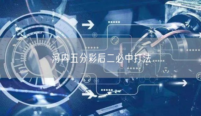 河内五分彩后二必中打法
