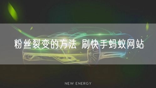 粉丝裂变的方法 刷快手蚂蚁网站