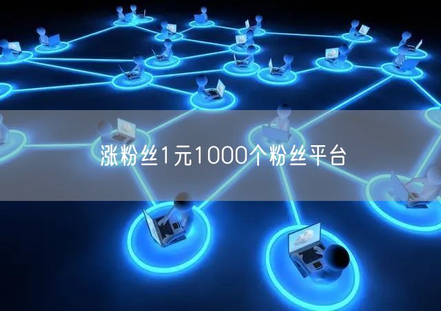 涨粉丝1元1000个粉丝平台