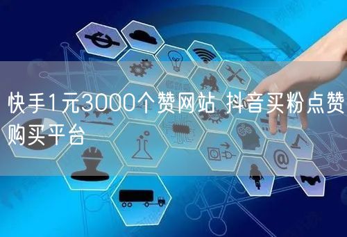 快手1元3000个赞网站 抖音买粉点赞购买平台