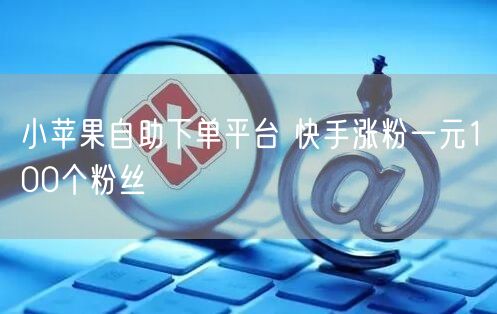 小苹果自助下单平台 快手涨粉一元100个粉丝
