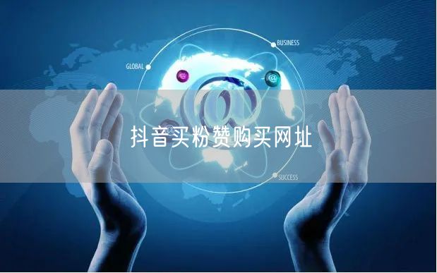 抖音买粉赞购买网址
