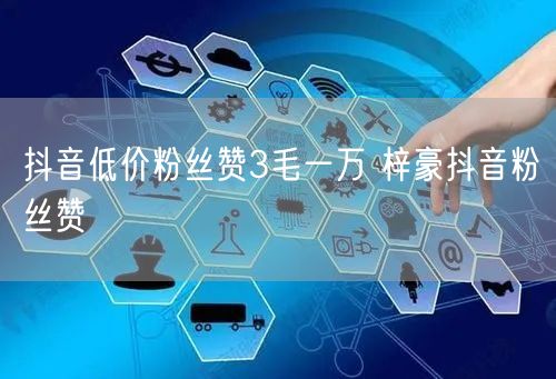 抖音低价粉丝赞3毛一万 梓豪抖音粉丝赞