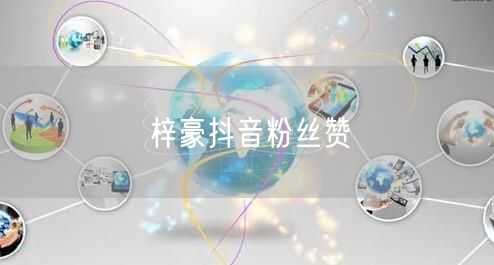 梓豪抖音粉丝赞