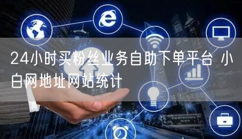 24小时买粉丝业务自助下单平台 小白网地址网站统计