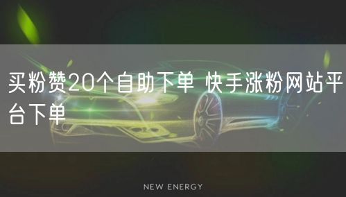 买粉赞20个自助下单 快手涨粉网站平台下单