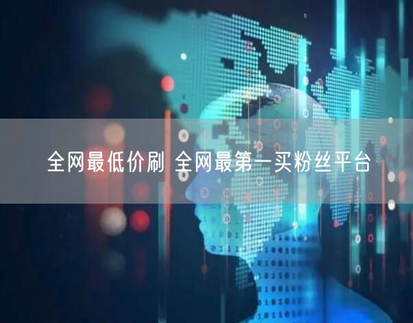 全网最低价刷 全网最第一买粉丝平台